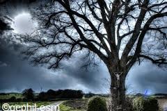 croix calvaire Champelle